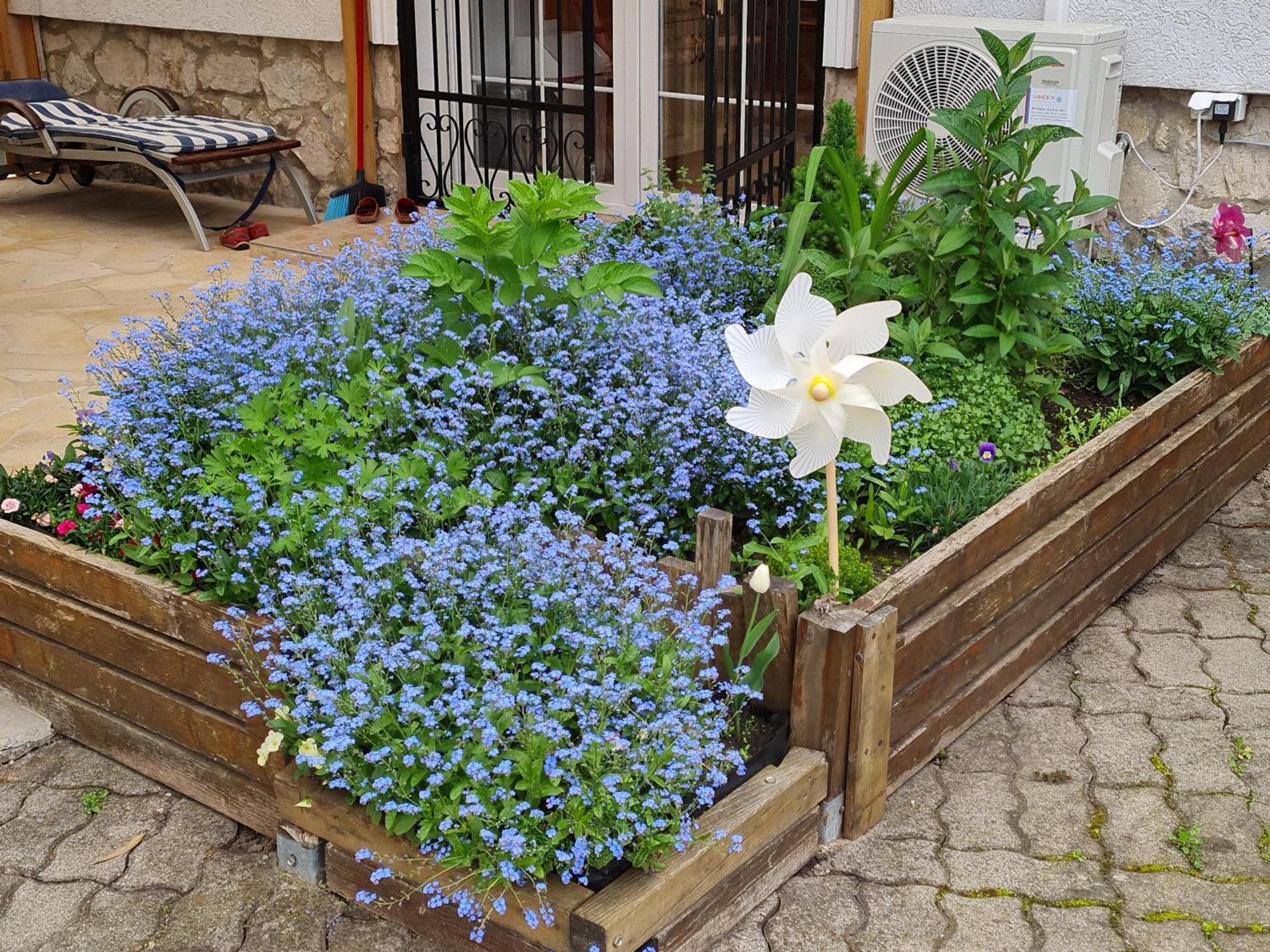 Ginger House Apartment Keszthely Exterior foto
